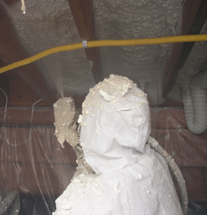  ND crawl space insulation